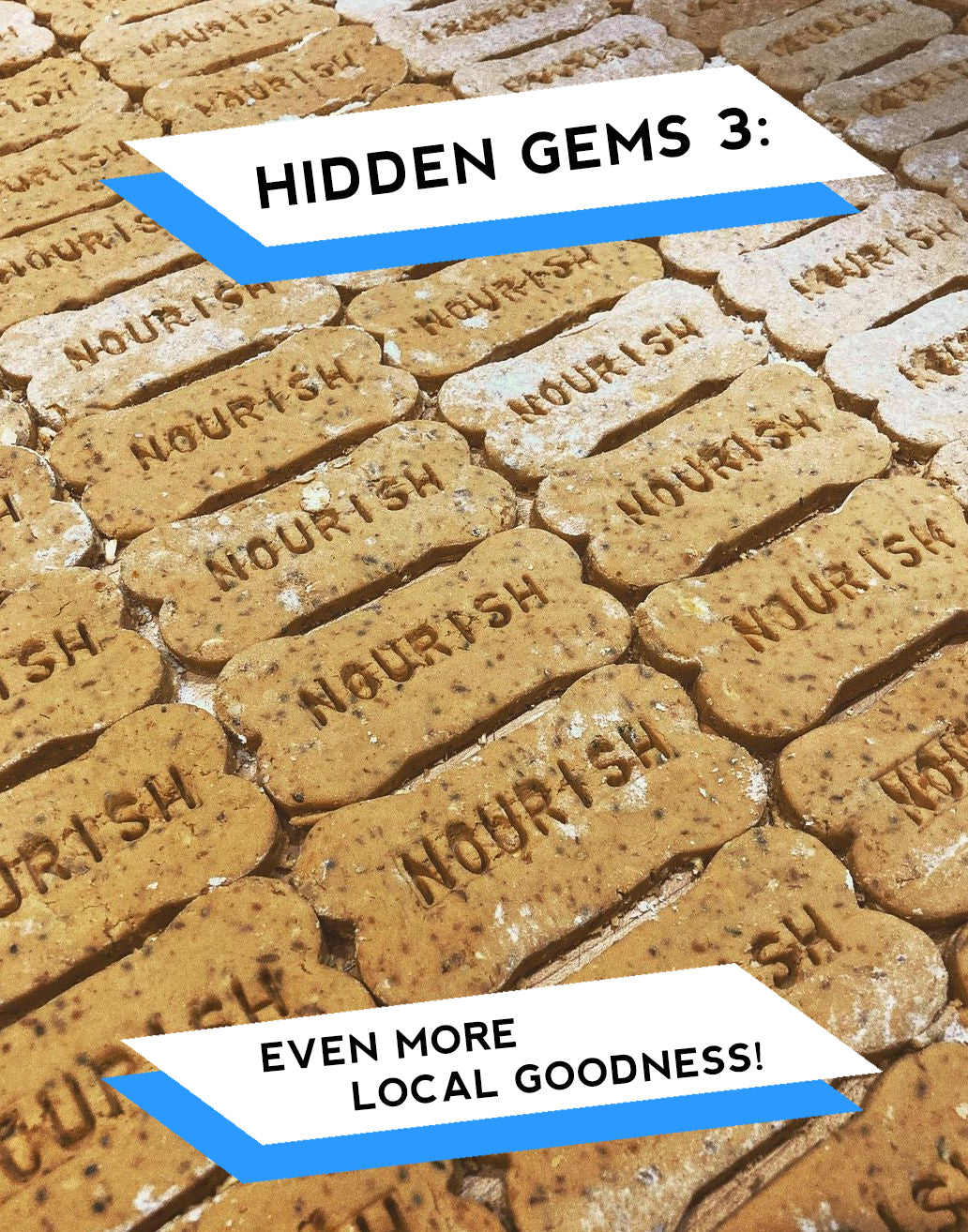 Hidden Gems 3: Did You Know?